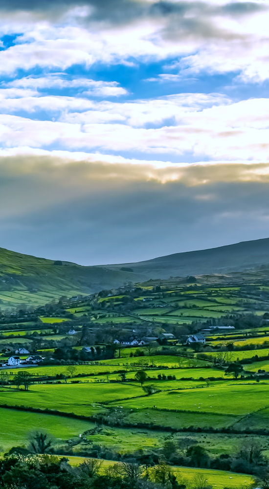 Northern Ireland fields